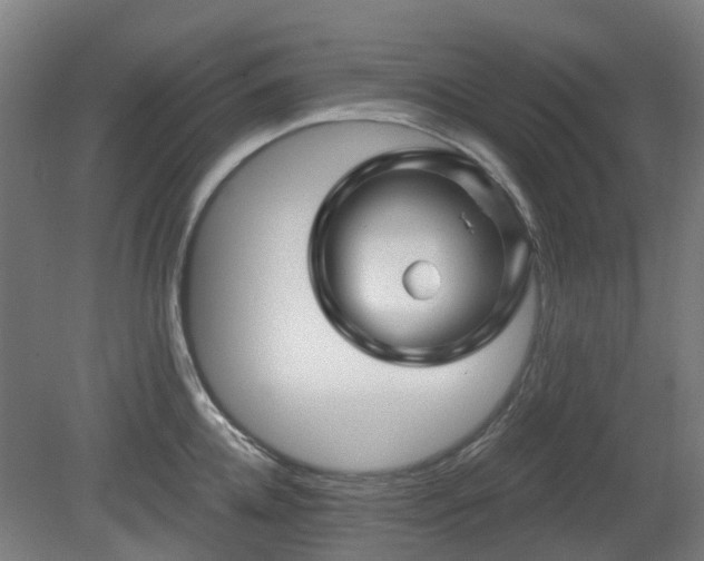 X0000080100952200612151617