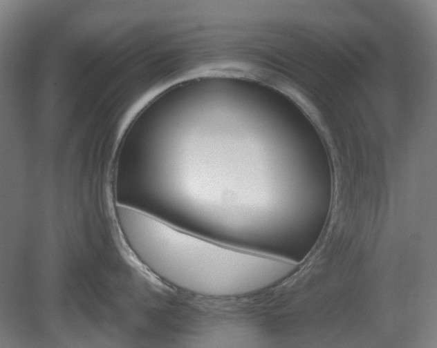 X0000080100960200612151618