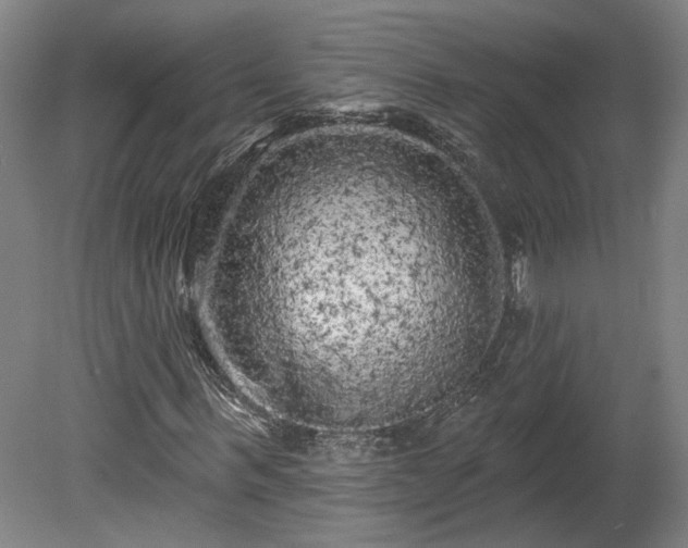 X0000080100963200612151617