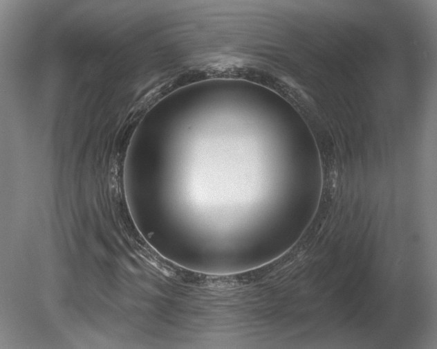 X0000080100964200612151617
