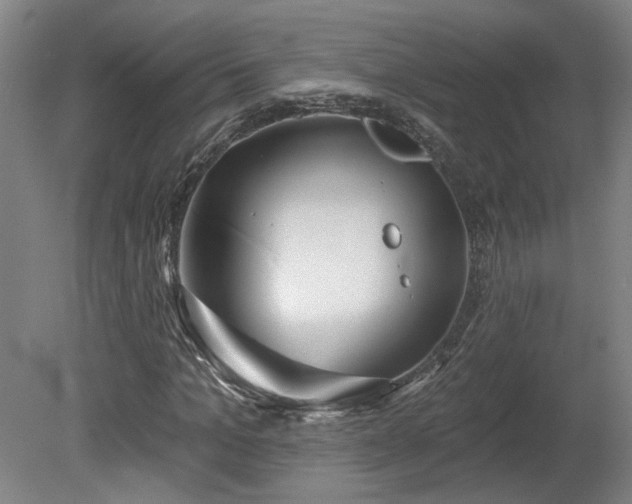 X0000080100965200612151617