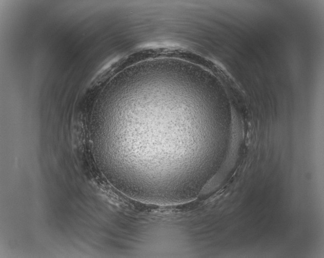 X0000080100967200612151617