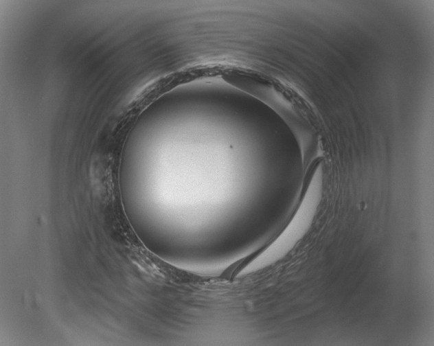 X0000080100968200612151617