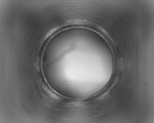 X0000080100970200612151617