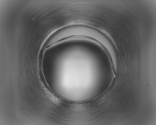 X0000080100976200612151616