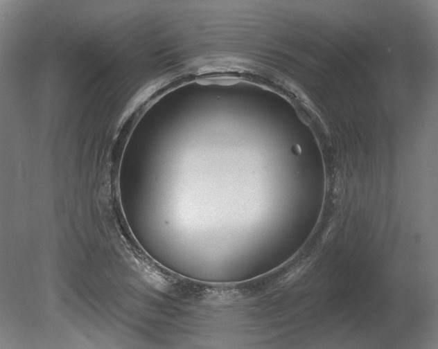 X0000080100978200612151616
