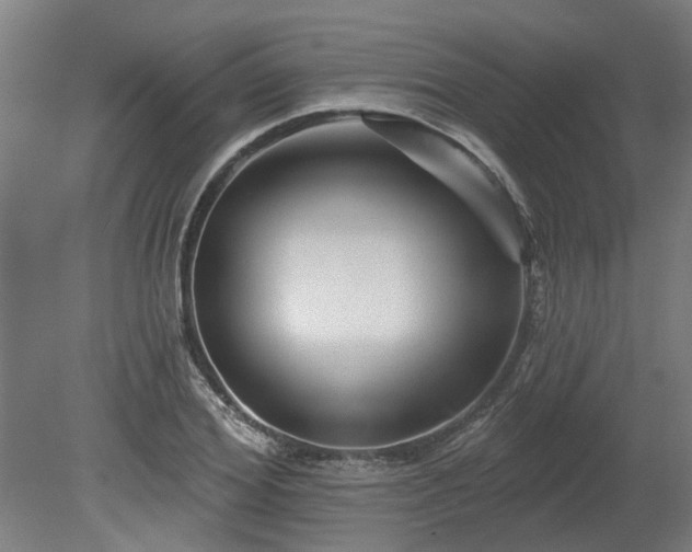 X0000080100980200612151616