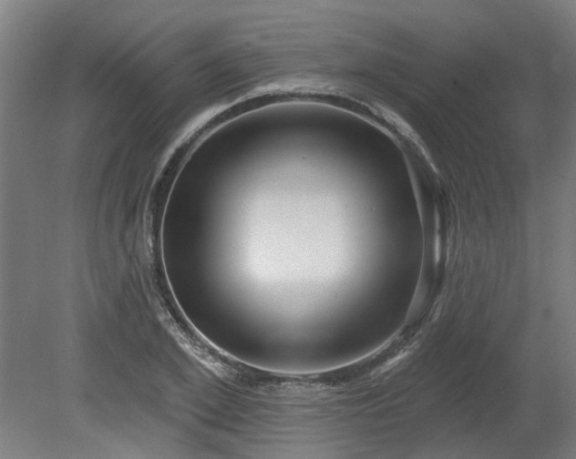 X0000080100981200612151616