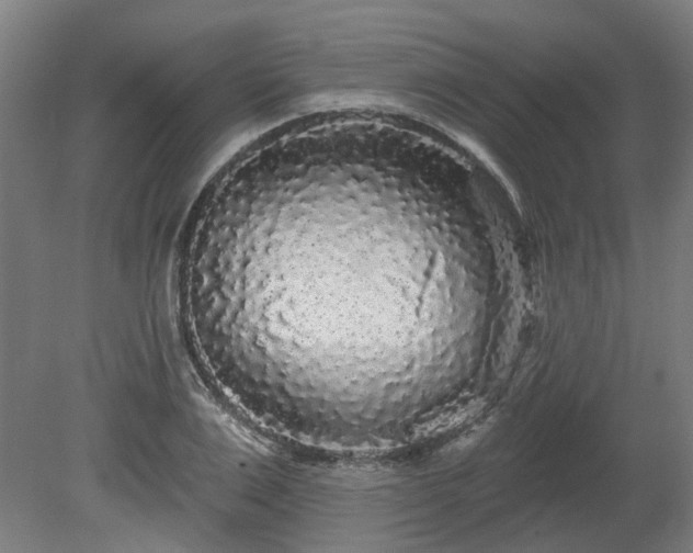 X0000080100983200612151616