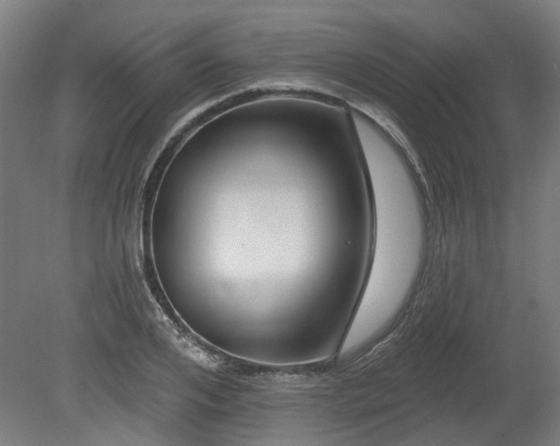 X0000080100984200612151616