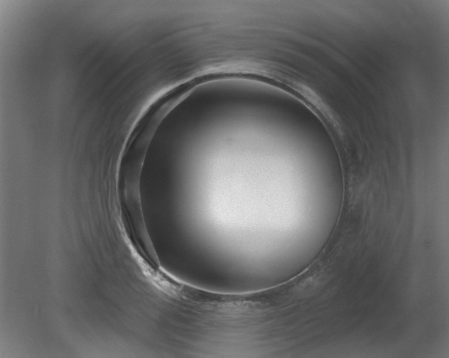 X0000080100988200612151616