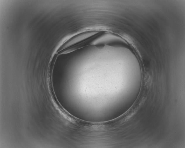 X0000080100989200612151616