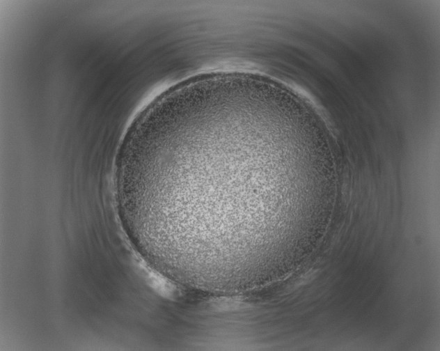 X0000080100990200612151616