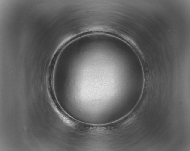 X0000080100991200612151616