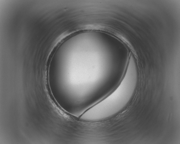 X0000080100992200612151616