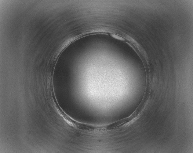 X0000080100993200612151616