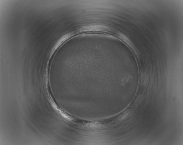 X0000080100994200612151616
