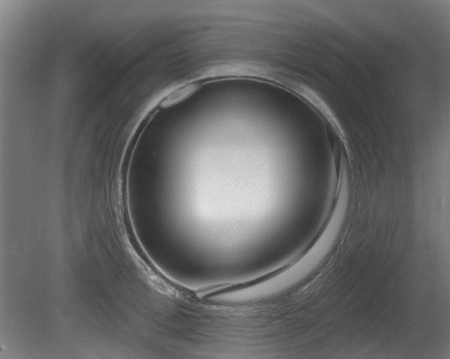 X0000080100996200612151616