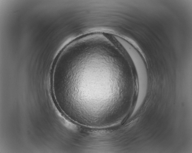 X0000080100999200612151616