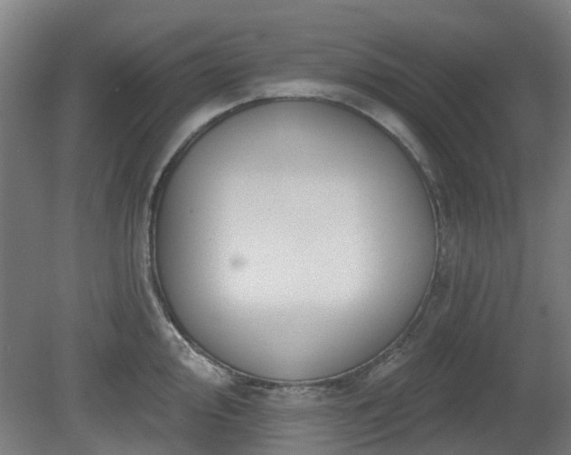X0000080101000200612151616