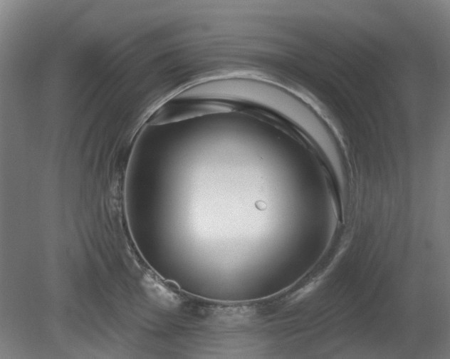 X0000080101001200612151616