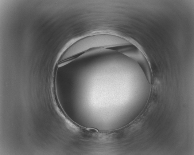 X0000080101005200612151616