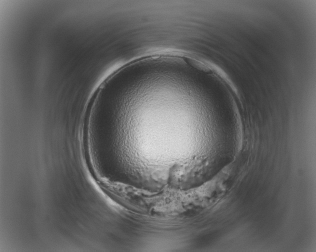 X0000080101007200612151616