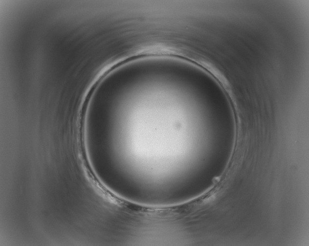 X0000080101008200612151616