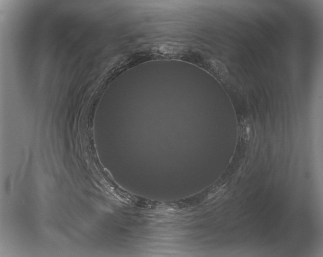 X0000080101009200612151615