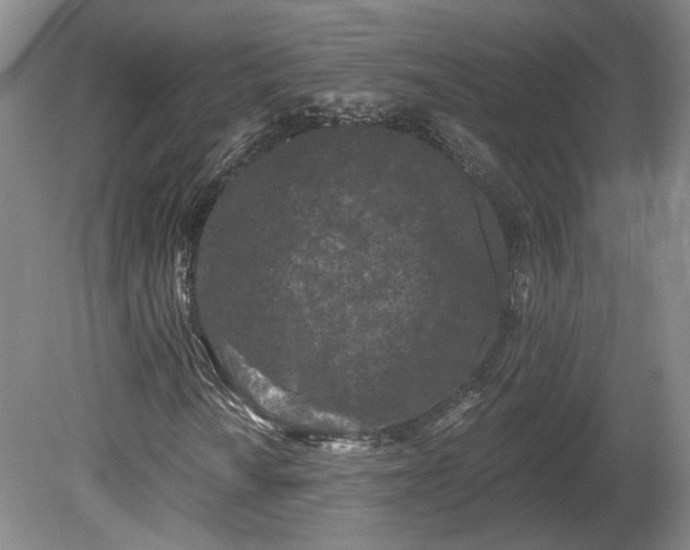 X0000080101010200612151615
