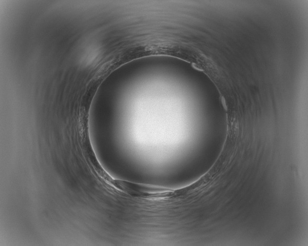 X0000080101012200612151615