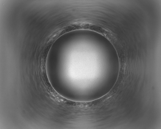 X0000080101014200612151615