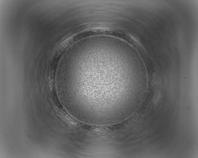 X0000080101015200612151615