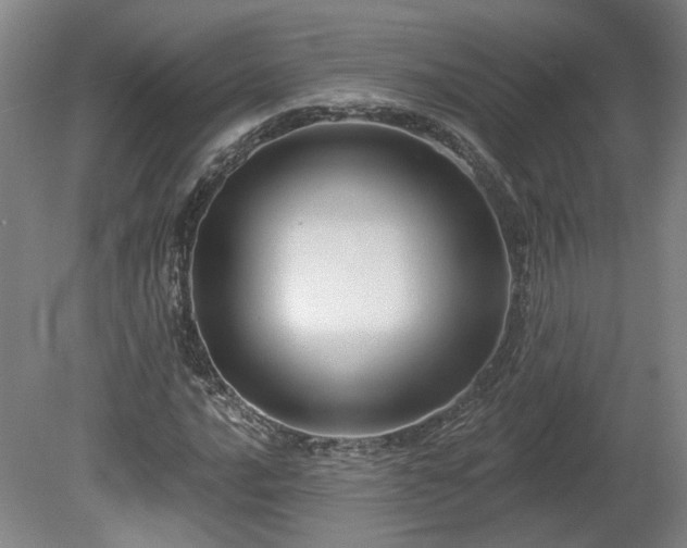 X0000080101016200612151615