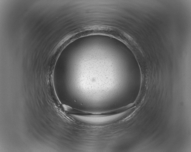 X0000080101017200612151615