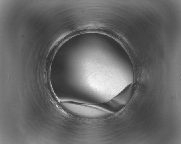 X0000080101018200612151615