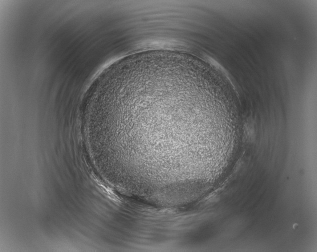 X0000080101019200612151615