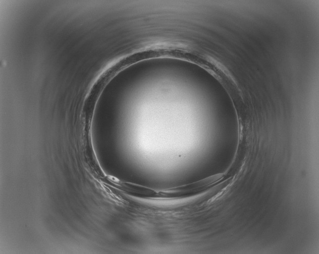 X0000080101021200612151615