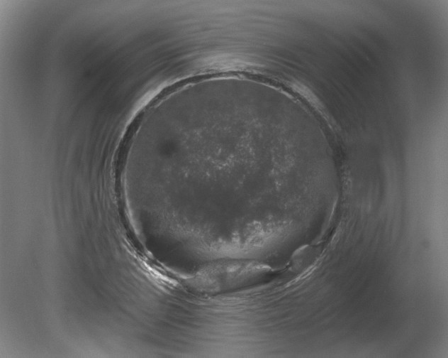 X0000080101023200612151615