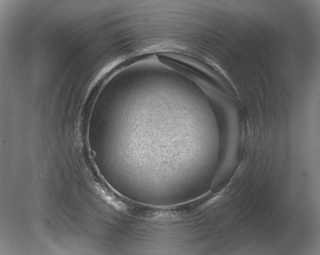 X0000080101026200612151615