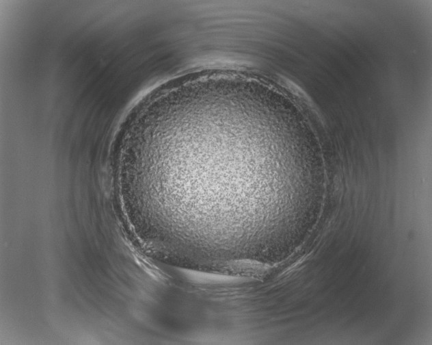 X0000080101027200612151615