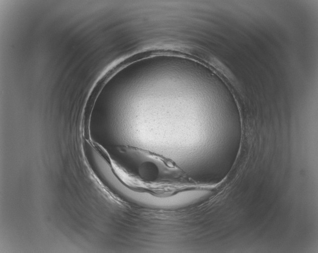 X0000080101028200612151615