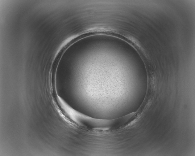 X0000080101030200612151615