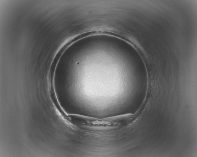 X0000080101032200612151615