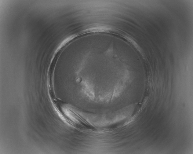X0000080101034200612151616