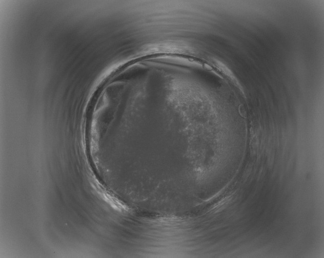 X0000080101035200612151616