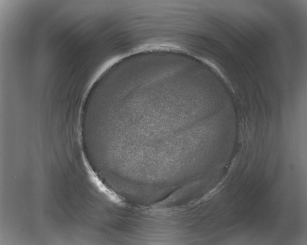 X0000080101038200612151616