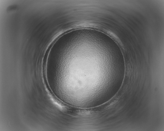 X0000080101039200612151616