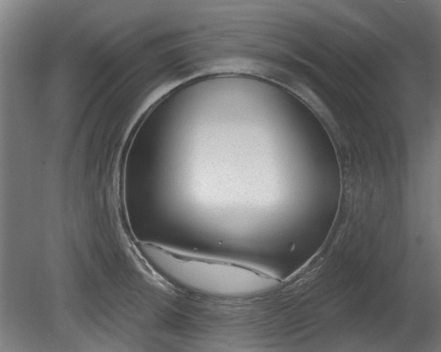X0000080101044200612151616