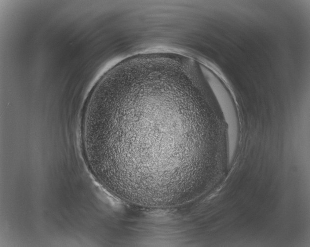 X0000080101048200612151616